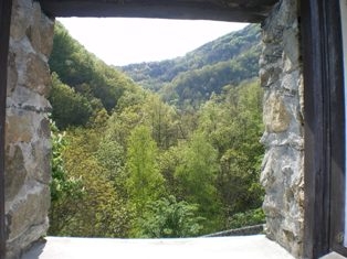 View from en-suite